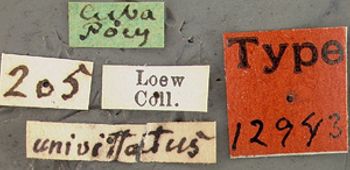 Media type: image;   Entomology 12943 Aspect: labels